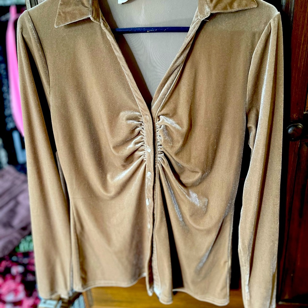 Velvet Ruched Tan Top